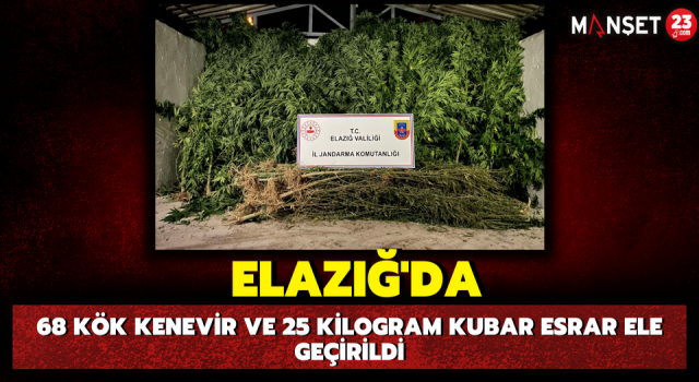 Elazığ’da 68 Kök Kenevir ve 25 Kilogram Kubar Esrar Ele Geçirildi