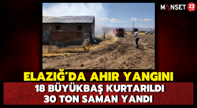 Elazığ’da Ahır Yangını: 18 Büyükbaş Kurtarıldı, 30 Ton Saman Yandı