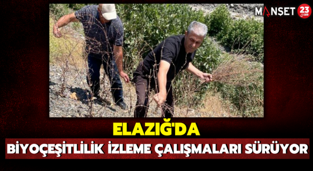 Elazığ'da Biyoçeşitlilik İzleme Çalışmaları Sürüyor