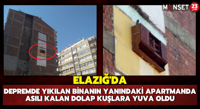 Elazığ'da Depremde Yıkılan Binanın Yanındaki Apartmanda Asılı Kalan Dolap Kuşlara Yuva Oldu