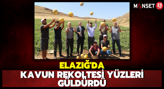 Elazığ’da Kavun Rekoltesi Yüzleri Güldürdü