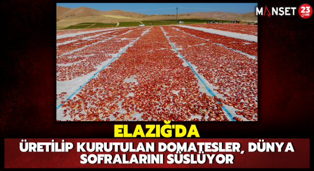 Elazığ’da Üretilip Kurutulan Domatesler, Dünya Sofralarını Süslüyor