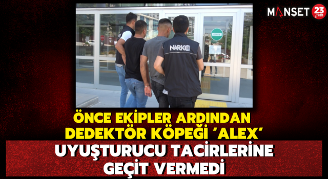 Önce Ekipler, Ardından Dedektör Köpeği ‘Alex’ Uyuşturucu Tacirlerine Geçit Vermedi