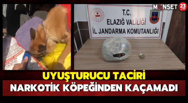 Uyuşturucu Taciri, Narkotik Köpeğinden Kaçamadı