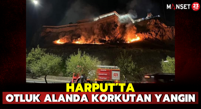 Harput’ta Otluk Alanda Korkutan Yangın