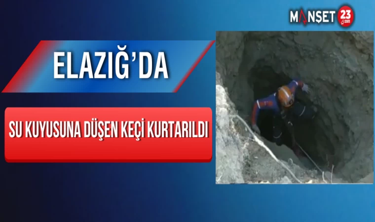 Elazığ’da Su Kuyusuna Düşen Keçi Kurtarıldı