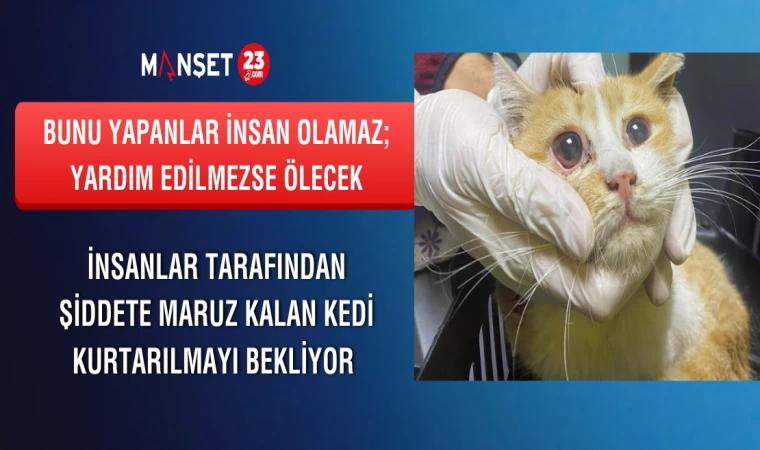 BUNU YAPANLAR İNSAN OLAMAZ; YARDIM EDİLMEZSE ÖLECEK