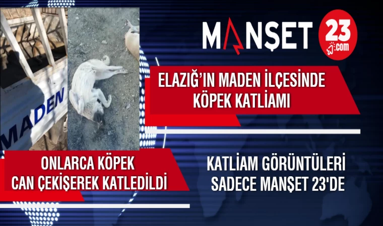 Elazığ’ın Maden İlçesinde Köpek Katliamı