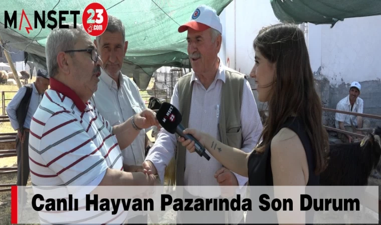CANLI HAYVAN PAZARINDA SON DURUM