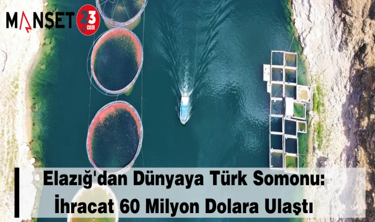 Elazığ'dan Dünyaya Türk Somonu: İhracat 60 Milyon Dolara Ulaştı