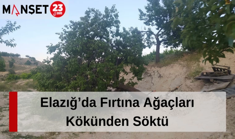 Elazığ’da Fırtına Ağaçları Kökünden Söktü