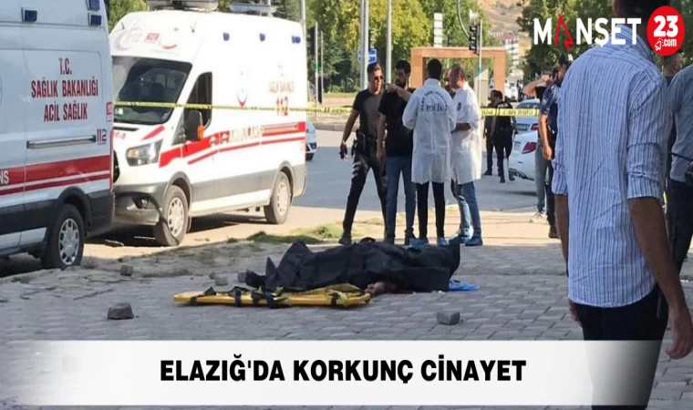 Elazığ'da Korkunç Cinayet