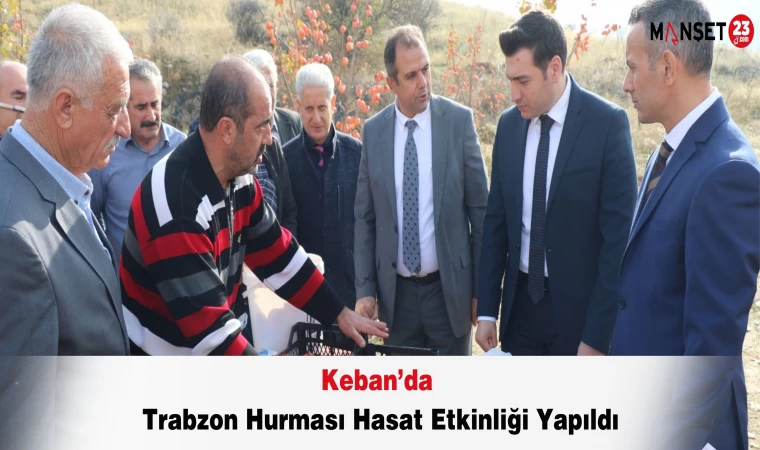 Keban’da Trabzon Hurması Hasat Etkinliği Yapıldı