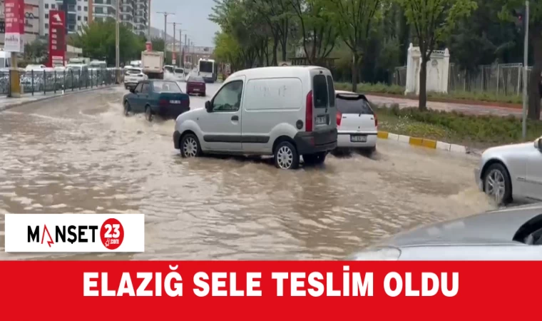 ELAZIĞ SELE TESLİM OLDU