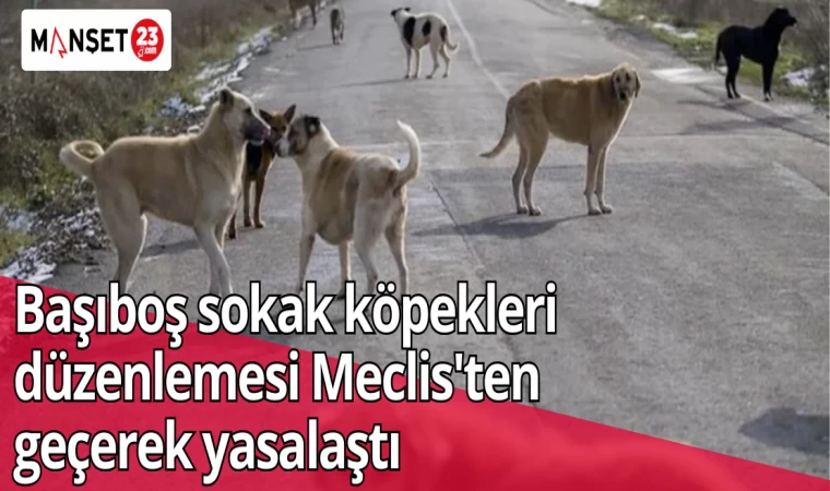 Başıboş sokak köpekleri düzenlemesi Meclis'ten geçerek yasalaştı