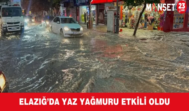 Elazığ’da Yaz Yağmuru Etkili Oldu