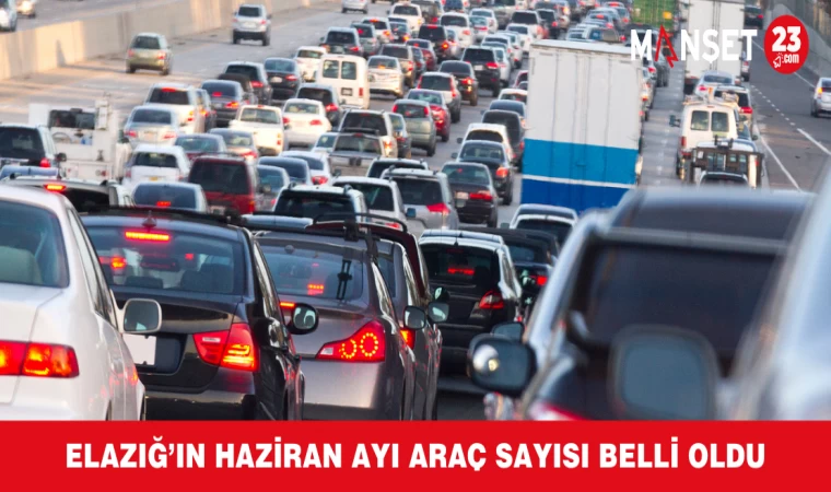 Elazığ’ın Haziran Ayı Araç Sayısı Belli Oldu