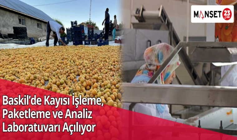 Baskil’de Kayısı İşleme, Paketleme ve Analiz Laboratuvarı Açılıyor