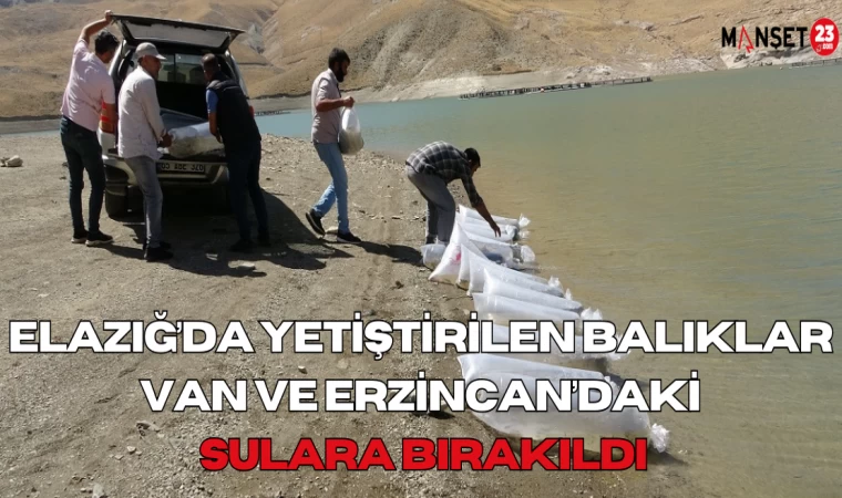 Elazığ’da Yetiştirilen Balıklar Van ve Erzincan’daki Sulara Bırakıldı