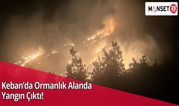 Keban’da Ormanlık Alanda Yangın Çıktı!