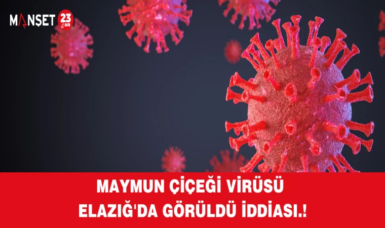 MAYMUN ÇİÇEĞİ VİRÜSÜ ELAZIĞ'DA GÖRÜLDÜ İDDİASI.!
