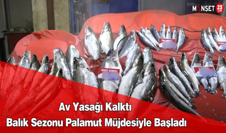 Av Yasağı Kalktı, Balık Sezonu Palamut Müjdesiyle Başladı