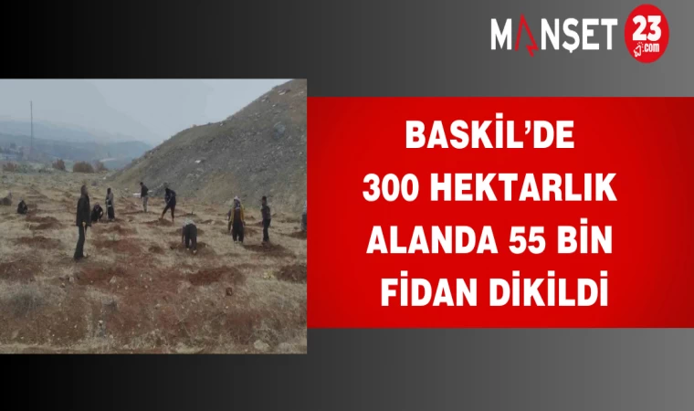 Baskil’de 300 hektarlık alanda 55 bin fidan dikildi