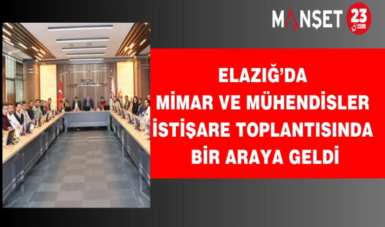 Elazığ’da mimar ve mühendisler istişare toplantısında bir araya geldi
