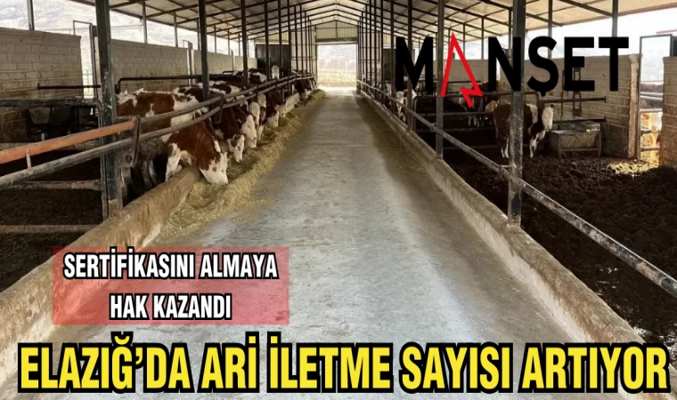 ELAZIĞ'DA ARİ İLETME SAYISI ARTIYOR