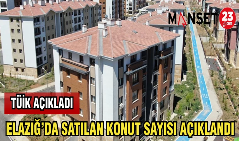 ELAZIĞ'DA SATILAN KONUT SAYISI AÇIKLANDI