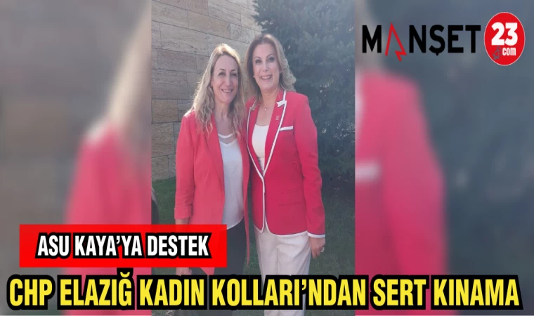 CHP ELAZIĞ KADIN KOLLARI'NDAN SERT KINAMA