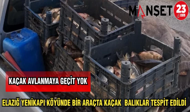 ELAZIĞ YENİKAPI KÖYÜNDE BİR ARAÇTA KAÇAK BALIKLAR TESPİT EDİLDİ