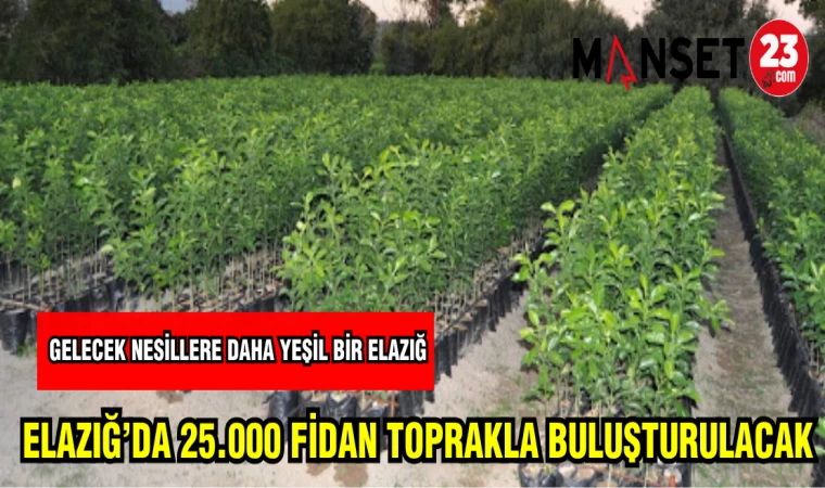 ELAZIĞ'DA 25.000 FİDAN TOPRAKLA BULUŞTURULACAK