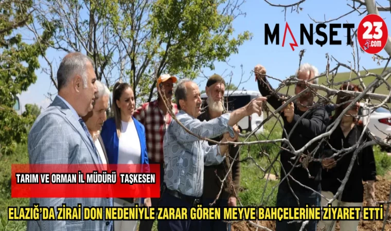 ELAZIĞ'DA ZİRAİ DON NEDENİYLE ZARAR GÖREN MEYVE BAHÇELERİNE ZİYARET