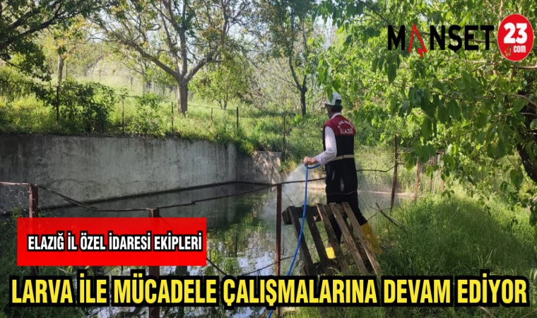 İL ÖZEL İDARESİ EKİPLERİ LAVRA İLE MÜCADELE ÇALIŞMALARINA DEVAM EDİYOR