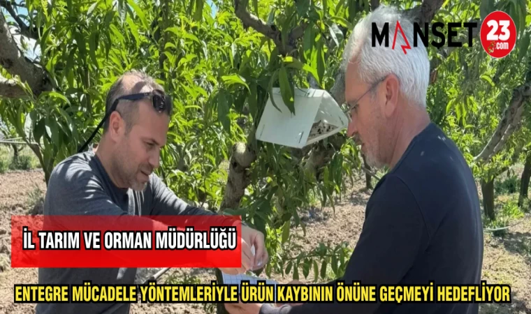 İL TARIM VE ORMAN MÜDÜRLÜĞÜ ENTEGRE MÜCADELE YÖNTEMLERİYLE ÜRÜN KAYBININ ÖNÜNE GEÇMEYİ HEDEFLİYOR