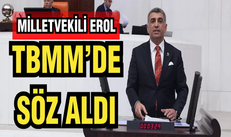 MİLLETVEKİLİ EROL TBMM'DE SÖZ ALDI