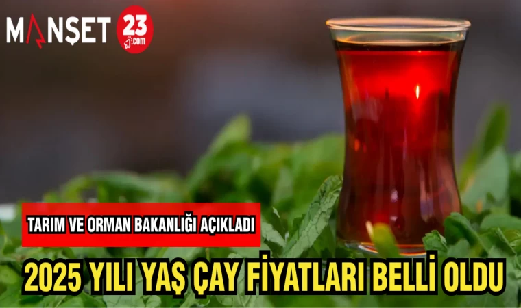 TARIM ORMAN BAKANLIĞI AÇIKLADI 2025 YILI YAŞ ÇAY FİYATLARI BELLİ OLDU