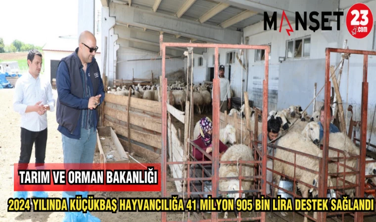 TARIM VE ORMAN BAKANLIĞI 2024 YILINDA KÜÇÜKBAŞ HAYVANCILIĞA 41 MİLYON 905 LİRA DESTEK SAĞLANDI