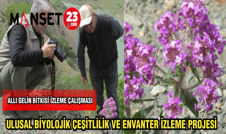ULUSAL BİYOLOJİK ÇEŞİTLİLİK VE ENVANTER İZLEME PROJESİ