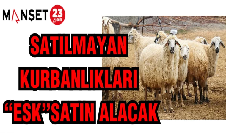 SATILMAYAN KURBANLIKLARI "ESK" SATIN ALACAK