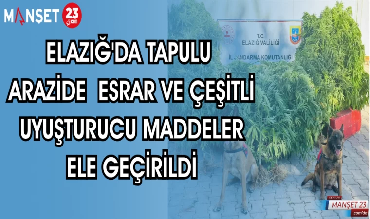 ELAZIĞ'DA TAPULU ARAZİDE ESRAR VE ÇEŞİTLİ UYUŞTURUCU MADDELER ELE GEÇİRİLDİ