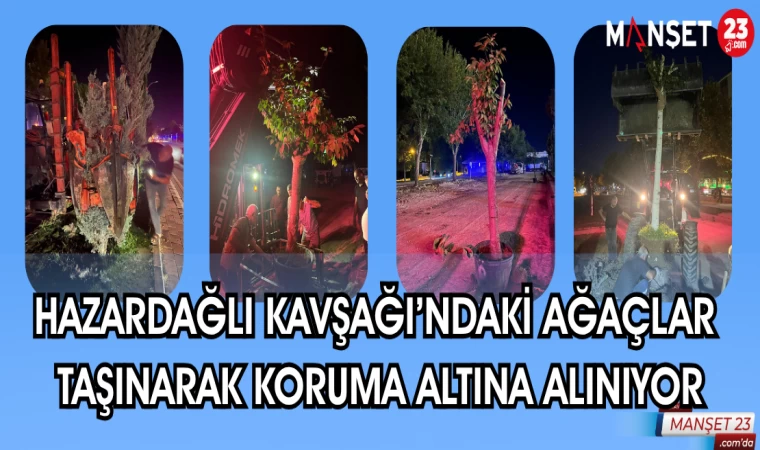 HAZARDAĞLI KAVŞAĞI'NDAKİ AĞAÇLAR TAŞINARAK KORUMA ALTINA ALINIYOR