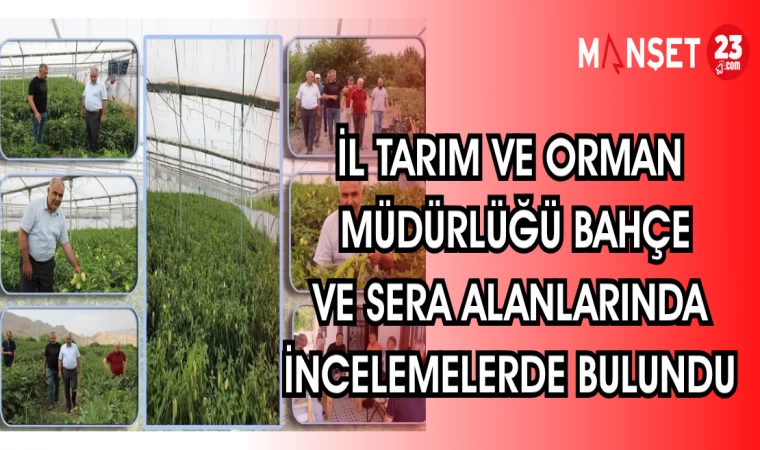 İL TARIM VE ORMAN MÜDÜRLÜĞÜ BAHÇE VE SERA ALANLARINDA İNCELEMELERDE BULUNDU