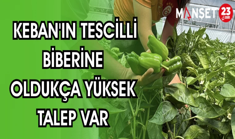 KEBAN'IN TESCİLLİ BİBERİNE OLDUKÇA YÜKSEK TALEP VAR