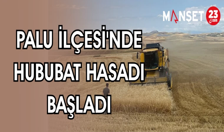 PALU İLÇESİ'NDE HUBUBAT HASADI BAŞLADI
