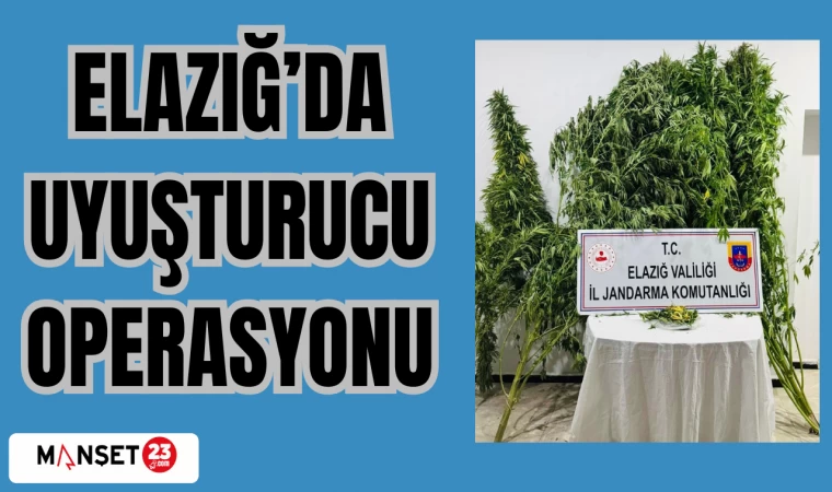 ELAZIĞ'DA UYUŞTURUCU OPERASYONU