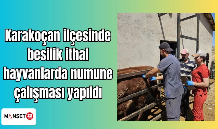 Karakoçan ilçesinde besilik ithal hayvanlarda numune çalışması yapıldı