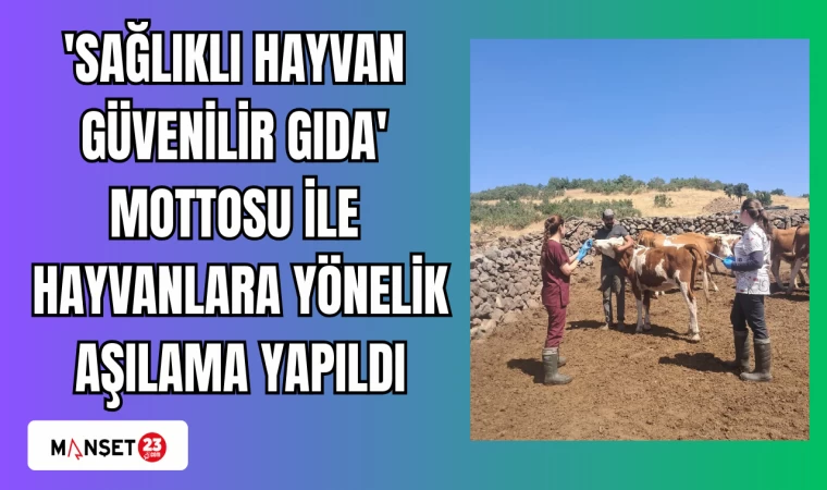'Sağlıklı hayvan güvenilir gıda' mottosu ile hayvanlara yönelik aşılama yapıldı