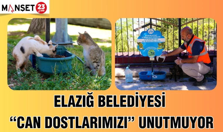ELAZIĞ BELEDİYESİ "CAN DOSTLARIMIZI" UNUTMUYOR